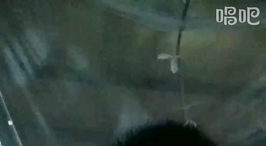 十年